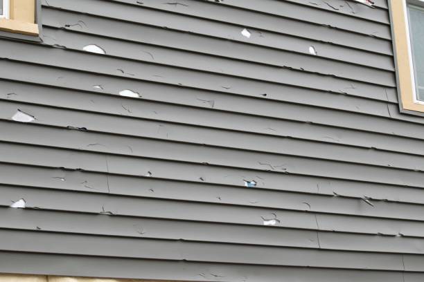 Best Vinyl Siding Installation  in Haubstadt, IN